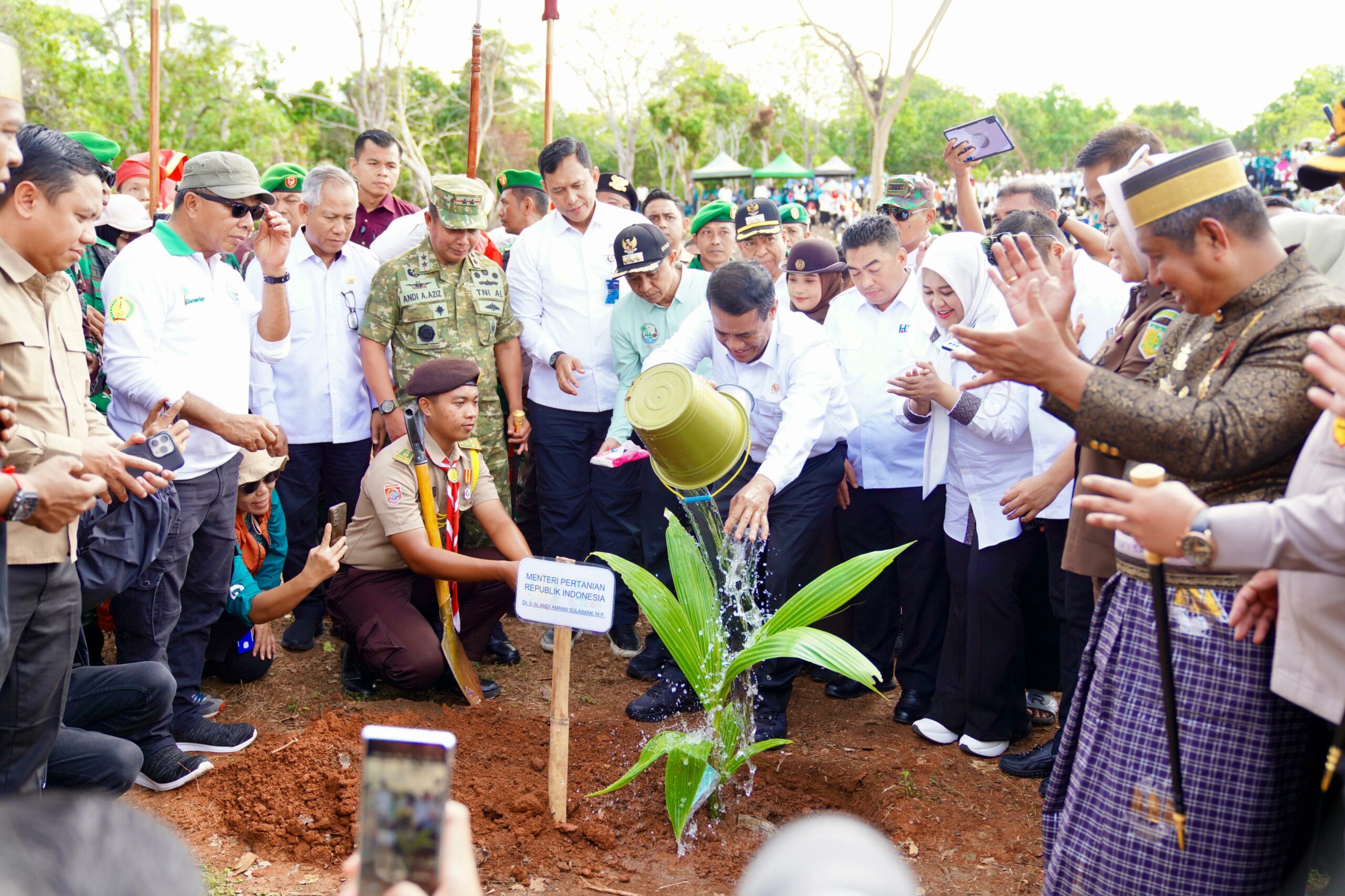 pohon kelapa di Kokolohe, Desa Mekar Indah, Kecamatan Buki, Sabtu (15/11/2025).